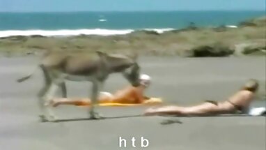 Baba-kolayca yüz türk eski porno dolar